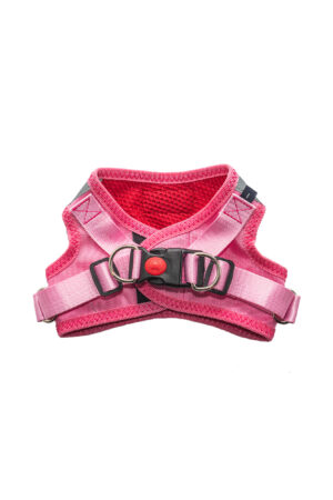 Arnes chaleco para perro elmonopet sin tiro talla 1 - Imagen 2