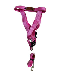 Arnes resistente para perro elmonopet talla L - Imagen 5