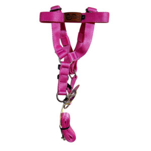 Arnes resistente para perro elmonopet talla L - Imagen 4
